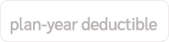 plan year deductible