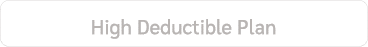 High Deductible Plan